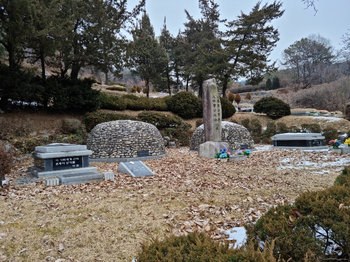 묘지부분 (남서측에서 촬영)