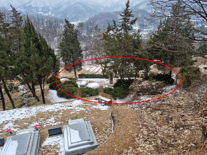 전경 (북측에서 촬영)