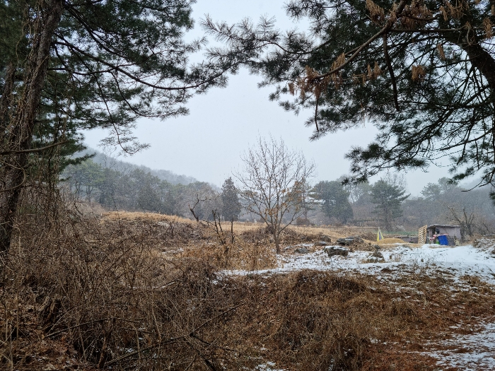 전경 (남서측에서 촬영)