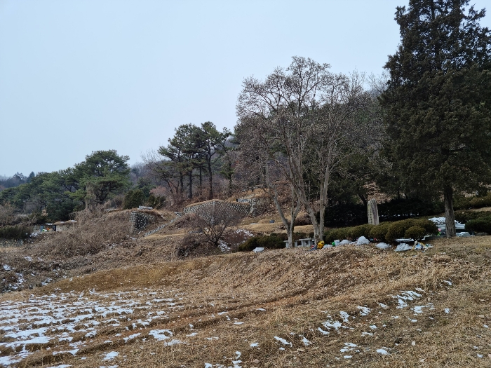 본건 북측 및 묘지부분(남동측에서 촬영)