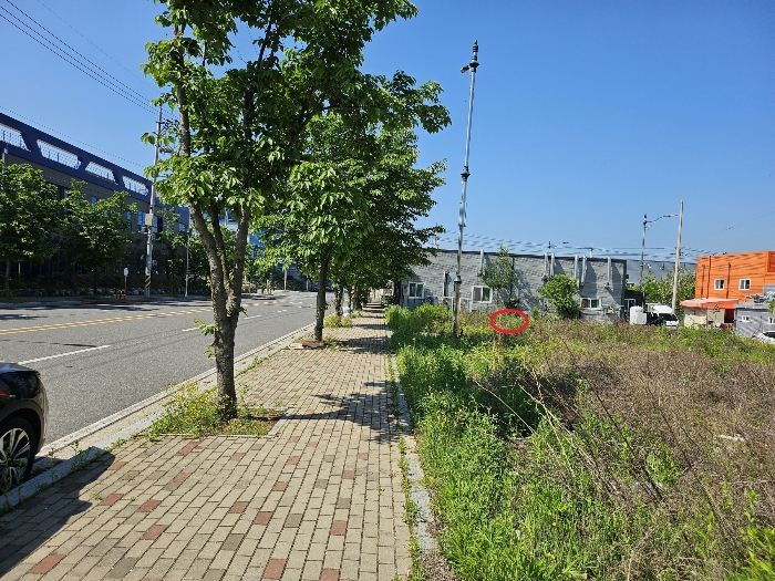 본건 및 주변전경