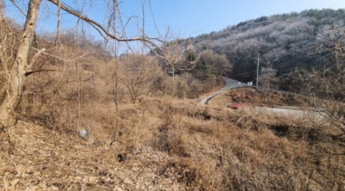 목록 3. 토지(위에서 아래를 본 모습)