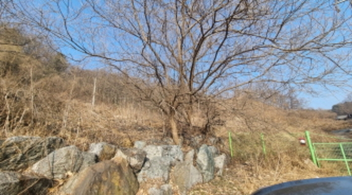 목록 5. 토지(도로쪽에서 본 모습)