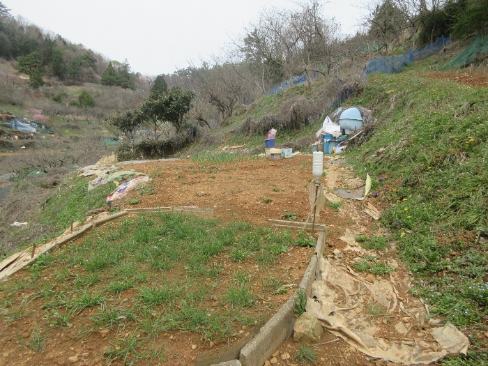 기호1 2 및 주위