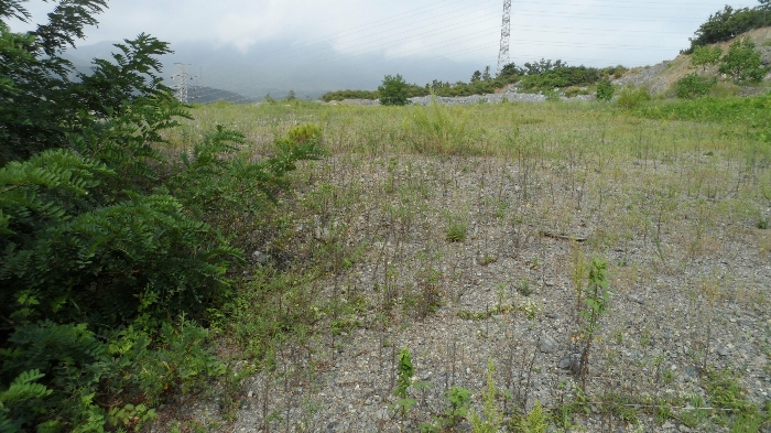 기호 가,나) 및 기호17,18) 전경