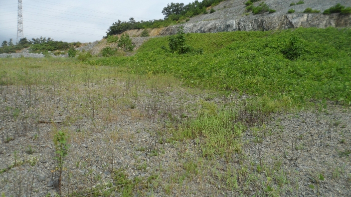 기호 가,나) 및 기호17,18) 전경