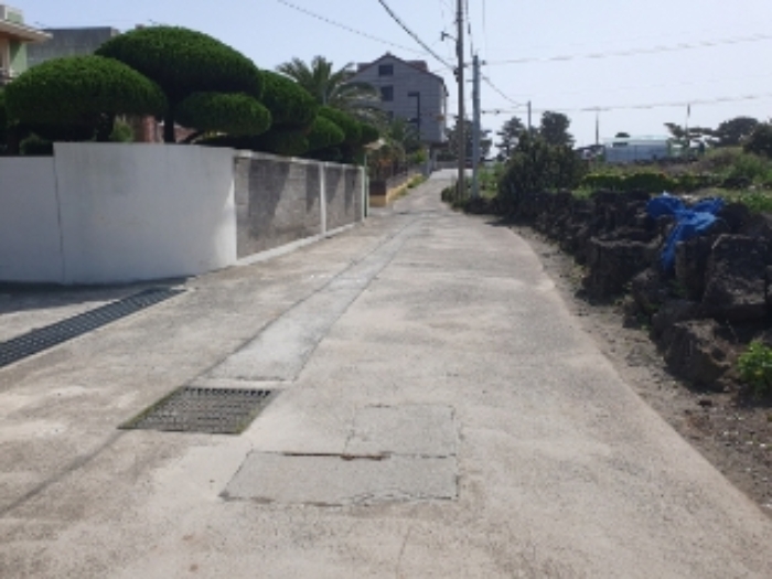 본건 부동산 인접 도로 전경