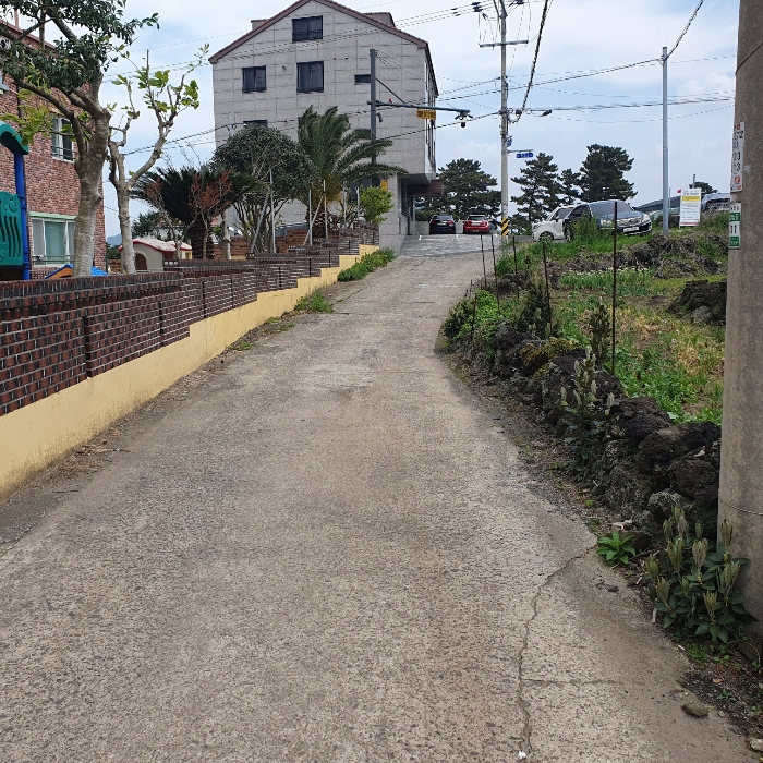 인접도로 현황 및 주위환경