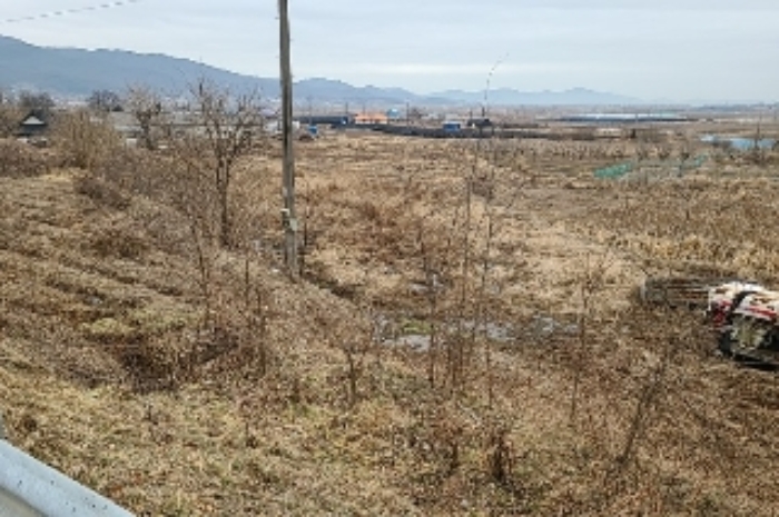전경