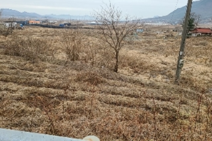 전경