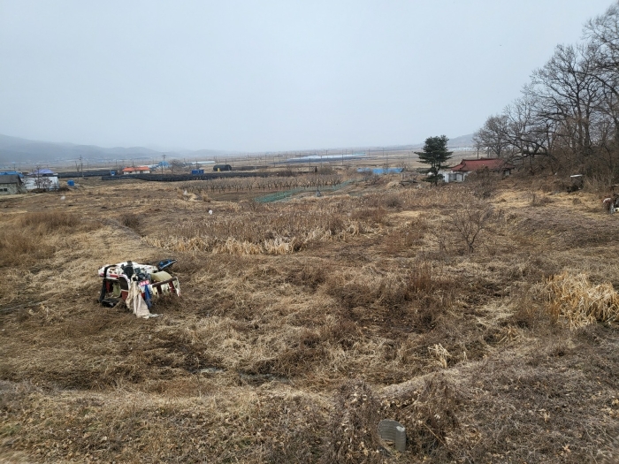 본건 전경(동측에서 촬영)