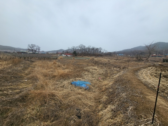 본건 전경(남측에서 촬영)