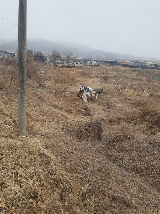 본건 전경(북측에서 촬영)
