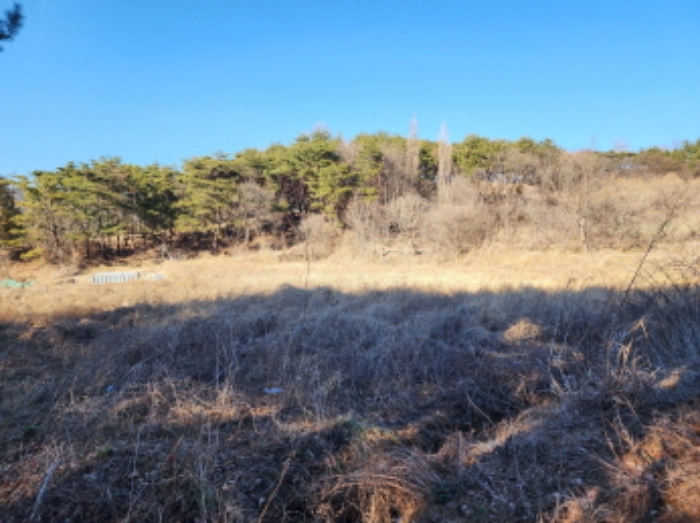 울산 울주군 상북면 산전리 241-1