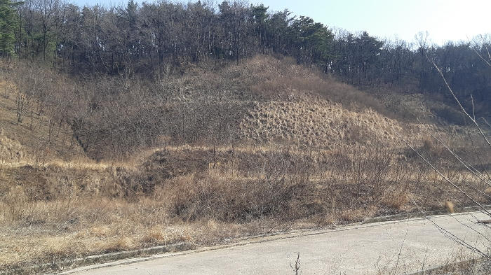 본건 번호 (4) 토지 전경1