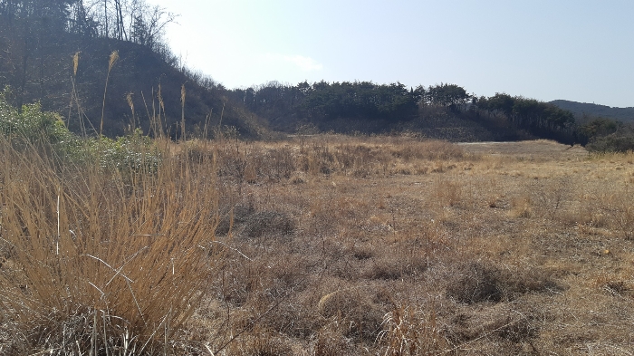 본건 번호 (2) 토지 전경2