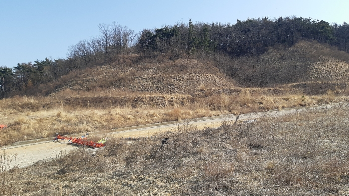 본건 번호 (3) 토지 전경