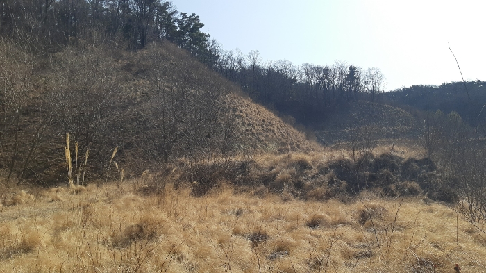 본건 번호 (4) 토지 전경2