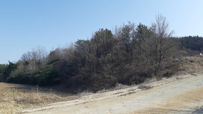 본건 번호 (1) 토지 전경1