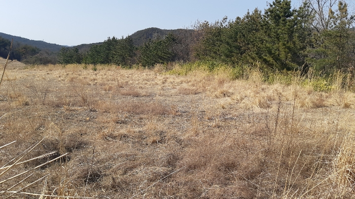 본건 번호 (1) 토지 전경3