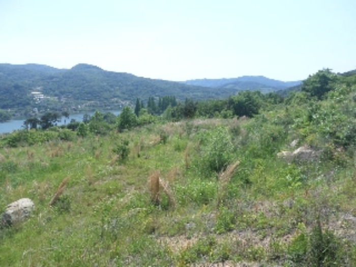 목록1,2,3,4,5,6,7. 전경