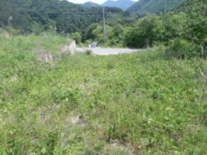 목록6. 전경(잡석)