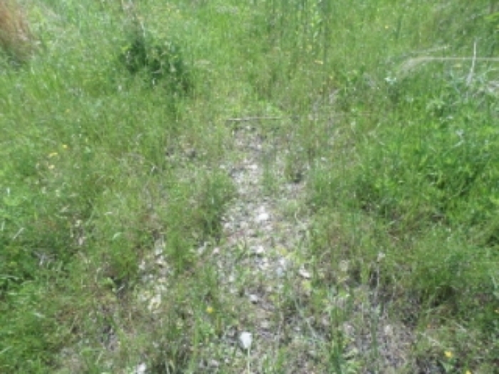 목록7. 전경(잡석)