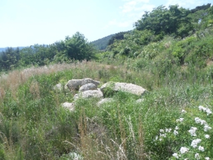 목록1. 전경(돌)