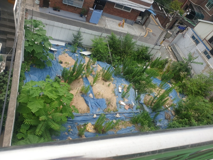 본건 기호1 전경