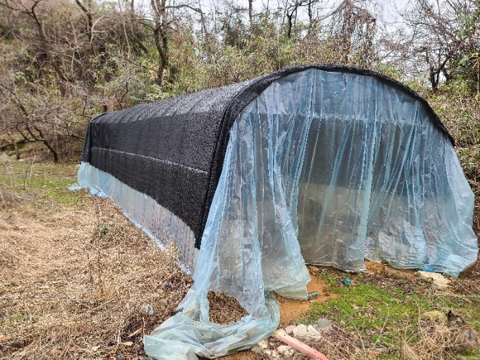 제시외건물(㉥)