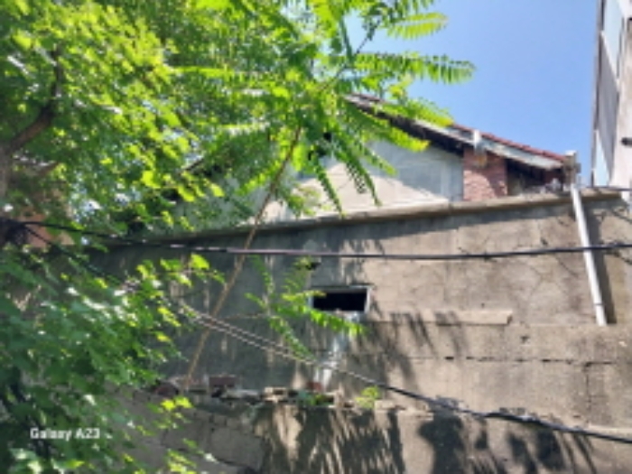 위 목적물의 전경