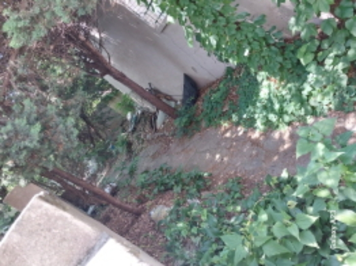 대문에서 주택까지의 통행로