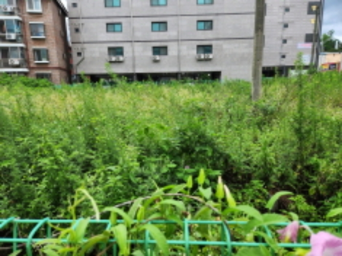 목록2 토지 전경