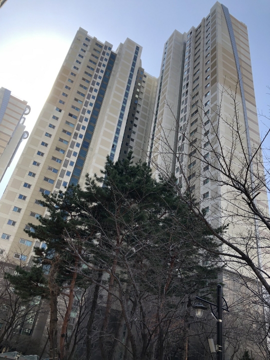 본건이 속한 건물 전경