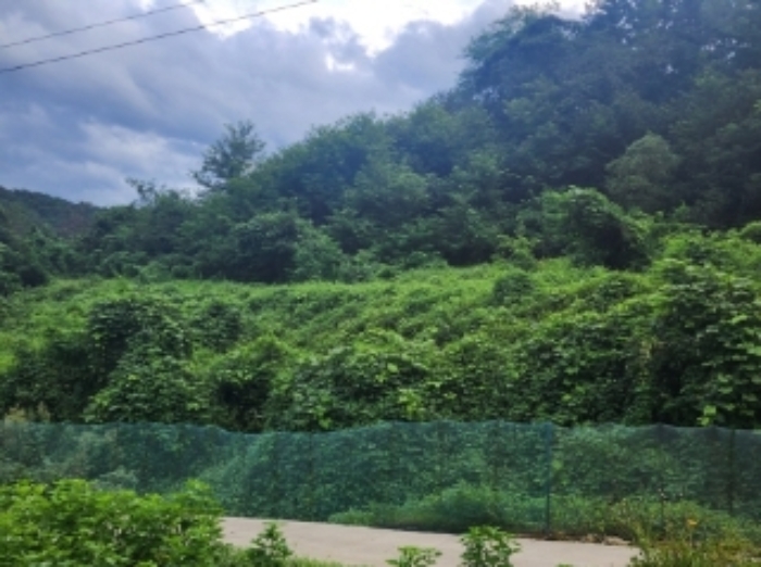 본건10,11
