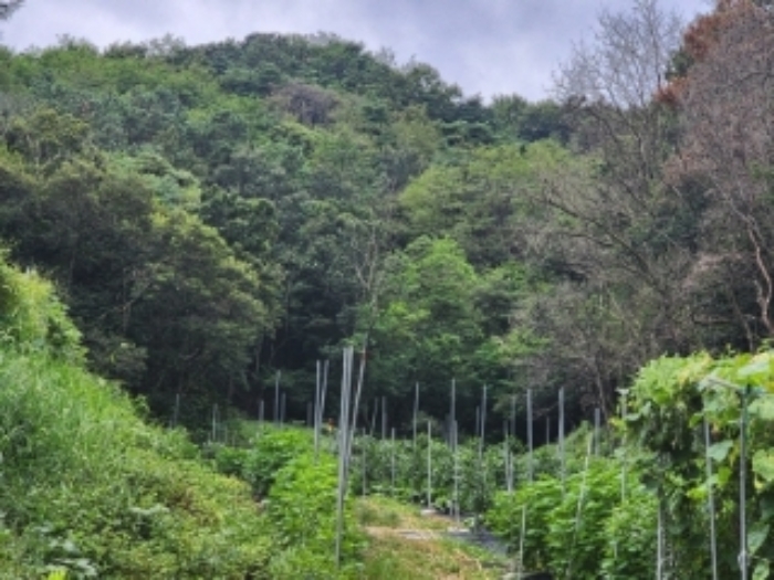 본건14