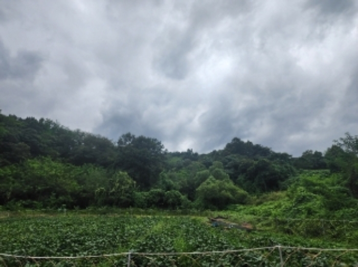 본건15,18