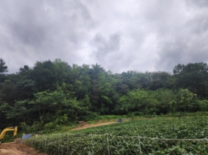 본건16,17