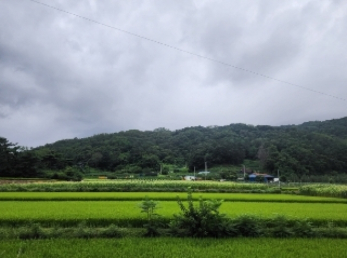 본건19