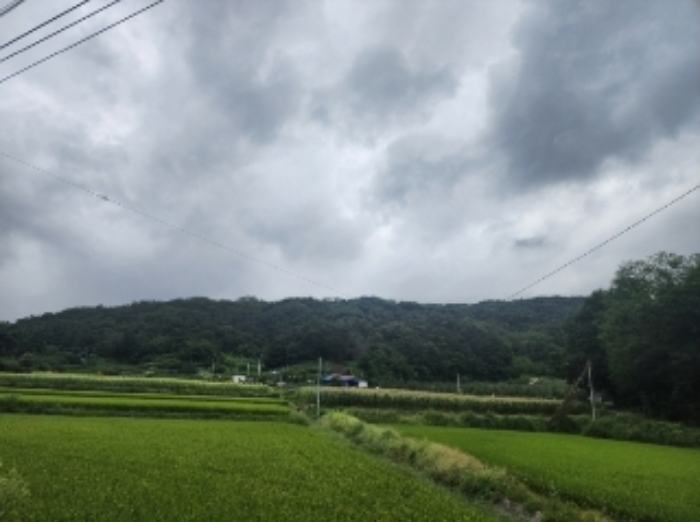 본건19