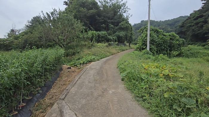 기호 13,18,19 전경