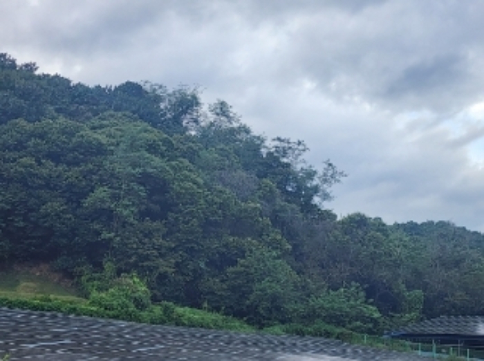 본건2,3