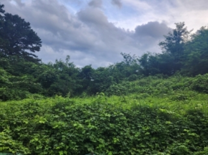 본건5