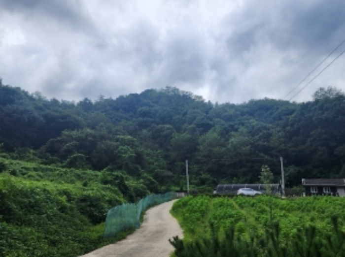 본건6~10