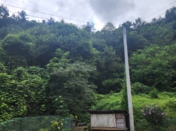 본건8,9