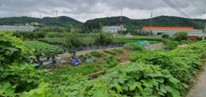 기호 1 2 전경