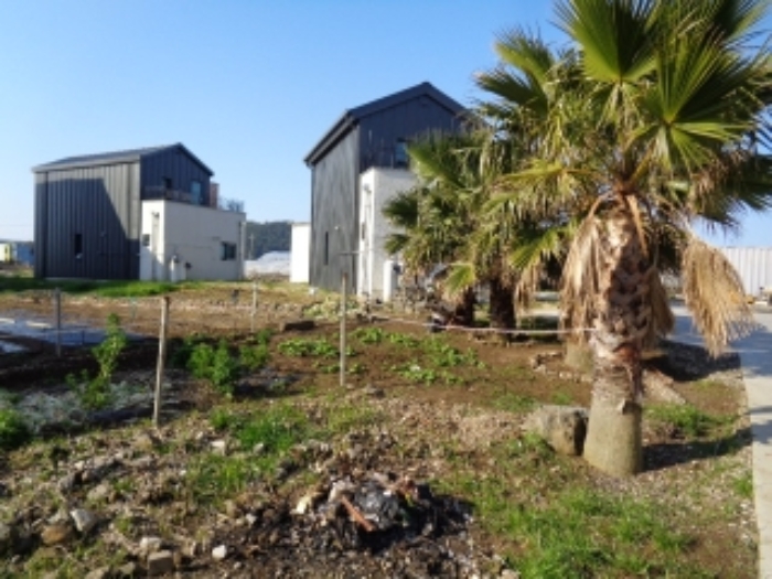 소재지1.(하귀2리 2891-4) 일부 지상에 조경수