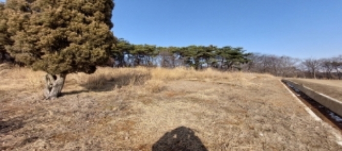 본건 토지 일부 전경