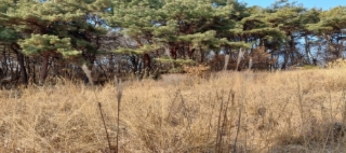 본건 토지 일부 전경