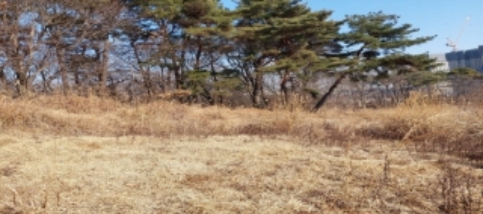 본건 토지 일부 전경